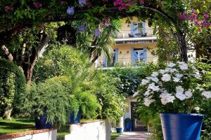 a bunch of plants inront of a building at Hôtel de Provence in Cannes