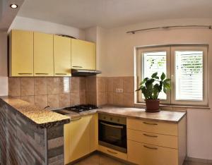 Kuchyň nebo kuchyňský kout v ubytování Apartments Iko