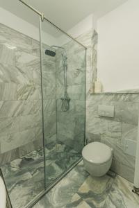 シビウにあるYellowBoot Aparthotelのバスルーム(トイレ、ガラス張りのシャワー付)