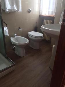 La salle de bains est pourvue de toilettes et d'un lavabo. dans l'établissement Hotel Adamello, à Temù