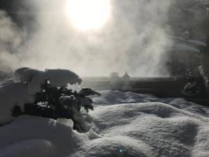 Hotel Relais Des Glaciers - Adults Only v zimě