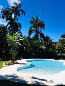 a swimming pool with palm trees in the background at Escape Caribeño in Puerto Viejo