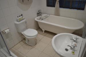 a bathroom with a toilet and a tub and a sink at Lemon & Lime Guesthouse in Bloemfontein