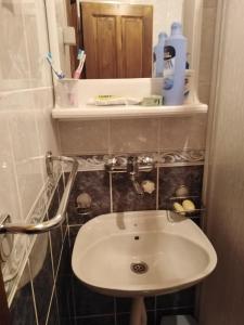 a bathroom with a white sink and a mirror at Apartmani Milojević in Divčibare