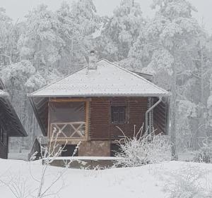 迪瓦伊巴雷Apartmani Milojević的屋顶上积雪的小木屋
