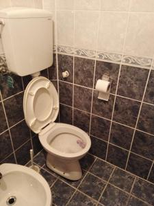 迪瓦伊巴雷Apartmani Milojević的带马桶和一卷卫生纸的浴室