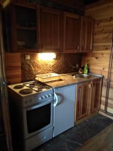 Apartmani Milojević的厨房或小厨房