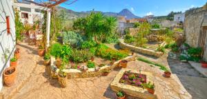 un giardino ricco di piante e fiori di Picturesque Traditional Stone House a Plátanos