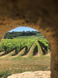 a view of a vineyard seen through a hole in a rock at Villa Renaissance in Flaujagues