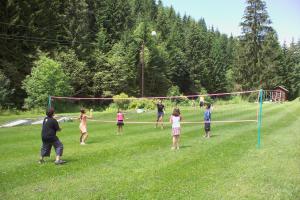 un grupo de personas jugando voleibol en un campo en Gasthof Spengerwirt, en Hirschegg Rein