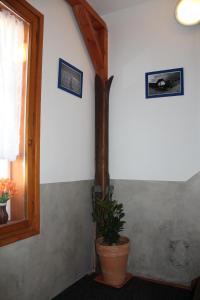 Fotografie z fotogalerie ubytování Modrý pension Rokytnice v Rokytnici nad Jizerou