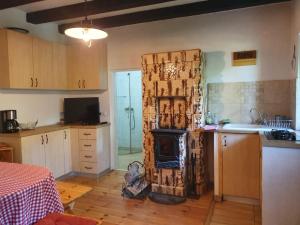 a kitchen with a stove in the middle of a room at Cabana Crenguta in Sibiu