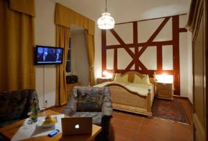 TV a/nebo společenská místnost v ubytování Schloss Wiesenthau