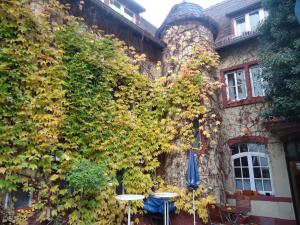 Gallery image of Hotel Burg-Stuben in Mainz