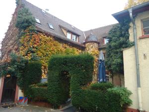 a building covered in ivy with an umbrella at Hotel Burg-Stuben in Mainz