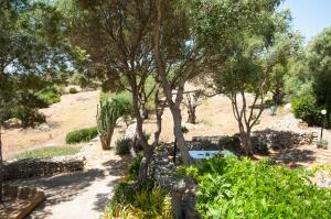 Vonkajšia záhrada v ubytovaní Finca Pessal