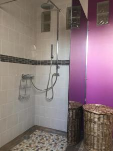 a bathroom with a shower with a purple door at L’escale du Bohain in Nassandres