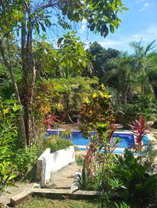 a resort with a swimming pool and trees at Blanconejo de Montezuma in Montezuma