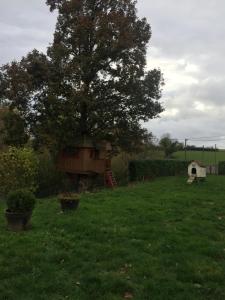 un árbol en un campo con una casa debajo en L’escale du Bohain, en Nassandres