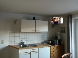 Kuchnia lub aneks kuchenny w obiekcie Apartment Waldhaus Opitz