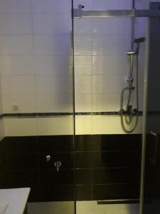 Fotografija u galeriji objekta Apartment Centar Exclusive Smederevo u gradu Smederevo