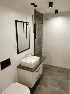 a bathroom with a sink and a toilet and a mirror at Apartament w Choczewie in Choczewo +28 photos