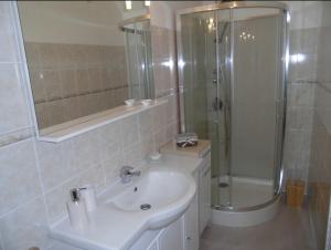 La salle de bains est pourvue d'un lavabo et d'une douche. dans l'établissement Domaine du Breuil, à Chassignolles