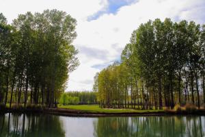 a group of trees next to a body of water at Hotel Risco Plateado Room & Suite in Malargüe +20 photos