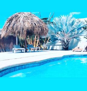 een zwembad met 2 stoelen en een rieten parasol bij Apartment Curacao in Willemstad
