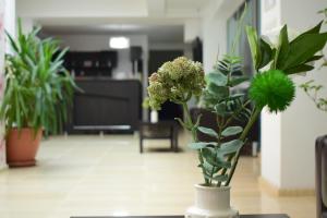 Fotografie z fotogalerie ubytování Hotel Corona v destinaci Drobeta-Turnu Severin