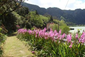 a row of pink flowers next to a body of water at Casa Dos Barcos Furnas in Furnas