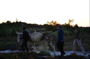 eine Gruppe von Menschen, die neben einem Esel stehen in der Unterkunft Quinta Pero Vicente in Odeceixe