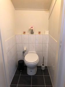 een badkamer met een toilet met een roze bloem op een plank bij De Baal in Haalderen