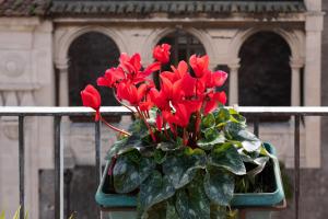 una olla de flores rojas sentadas en una valla en Terrazza Santa Chiara, en Catania