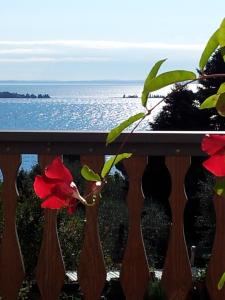 a red flower on a fence with the ocean in the background at Appartamento Lago Blu in Gardone Riviera