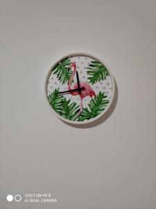 Fotografie z fotogalerie ubytování Edificio SATI 1 A v destinaci Santa Cruz de la Palma