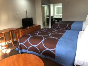 a bedroom with a bed and a desk and a television at Diboll Inn and Suites in Diboll