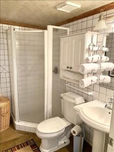 a bathroom with a toilet and a sink and a shower at Gulfview II Condos J606 in South Padre Island