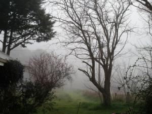 Gallery image of Brookvale House Balingup in Balingup +2 photos