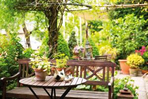 a wooden table with potted plants on a bench at Hôtel Diderot in Chinon