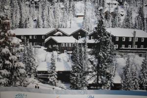 Fotografie z fotogalerie ubytování Kvitfjell Alpinhytter Kvitfjellvegen 492 v destinaci Kvitfjell