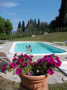 a pot of flowers next to a swimming pool at Il Palagetto in Bagno a Ripoli