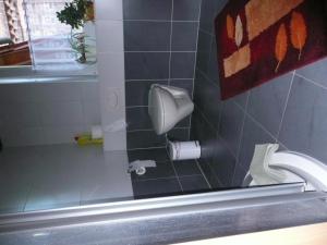 a bathroom with a sink and a toilet paper dispenser at Landurlaub in Schiebsdorf in Kasel-Golzig