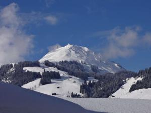 Fotografie z fotogalerie ubytování Alpenhof Brixen v destinaci Brixen im Thale