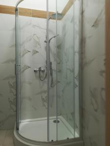 a shower with a glass door in a bathroom at Buko apartamenty in Uniejow