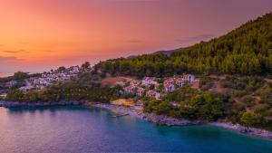 an aerial view of a small island in the water at Adrina Beach Hotel in Panormos Skopelos