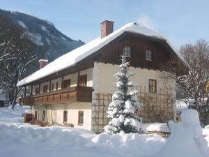 a house covered in snow with a christmas tree at Apartment Mauser-Mühltaler in Mauterndorf