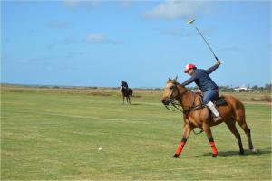 a person is playing a game of polo on a horse at Trafalgar Polo Club in El Palmar