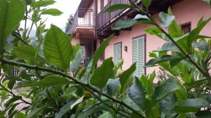 Zahrada ubytování B&B il Baciass + 17 fotografií