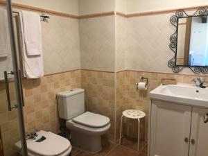 a bathroom with a toilet and a sink at Casa de Navalhorno Valsain in La Pradera de Navalhorno +17 photos